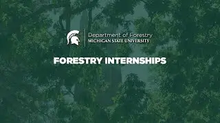 Forestry Internships