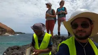 A Windy Day in Tenerife | Geology Field Trip with @geotenerife7660