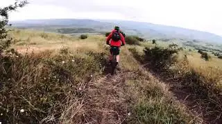 Ridetopia