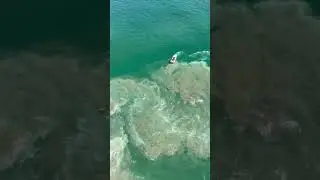 Multi-victim rip current rescue by Newport Beach Lifeguards #thelifeguardproject