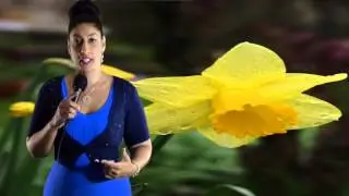 Cancer March 2014 Monthly Astrology Horoscope by Nadiya Shah