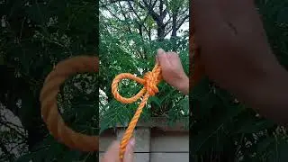 Knot Skill that Everyone Should Know 7 #trending #ytshorts #knots #viral