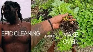 REVIEW OF THE FARM TRANSPLANTING AND CLEANING TRYING TO MENTAIN A STABLE HOMESTEAD