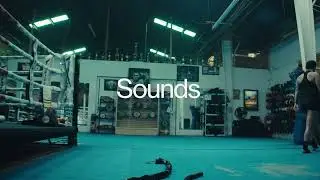 Introducing Musicbed Sounds&trade; 🔊