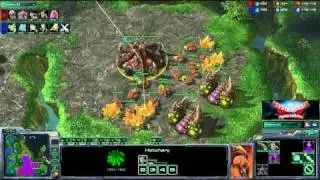 SC2 RatzDeezer[P] vs [Z]vilePsY