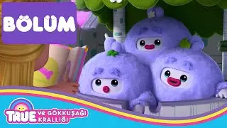 Koca Ayak Bakıcıları - True ve Gökkuşağı Krallığı 🌈 Çocuklar için Çizgi Film - TÜM BÖLÜM