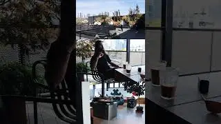 Coffee and Contemplation #coffee #cafe #rooftop #toronto #fornocultura