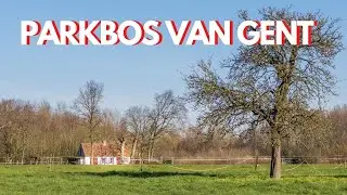 FOTOWANDELING Parkbos van Gent, landschapsfotografie & bosfotografie - fotografie idee&euml;n in praktijk