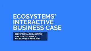 Ecosystems' Interactive Business Case: Robust Digital Collaboration with Your Customer