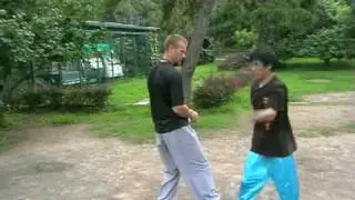 Liu He Tanglang applications- Master Han Yanwu DVD