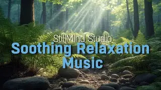 Soothing Relaxation Music / Forest Calm &ndash; Soft Nature Ambience