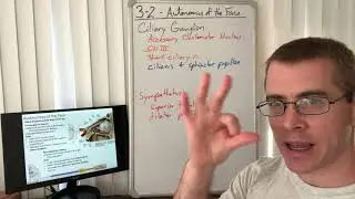 3-2 - Autonomics of the Face (Ciliary Ganglion)