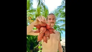 Trying Snake Fruit