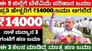 Crop insurance compensation released for these 5 districts tomorrow/₹14000 thousand deposit/Crop Insurance Status 2024 Karnataka