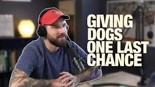 DTDT 224 - Giving Dogs ONE LAST CHANCE!