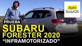 Subaru Forester 2020 híbrido, descubrimos carencias  Autoscout24