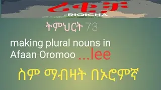 Lesson 73: Making plural nouns in Afaan Oromoo using the suffix #lee