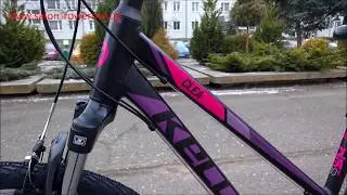Kellys Clea 30 violet www.salon-rowerowy.pl