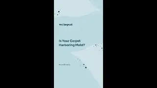 Is your carpet harboring mold?