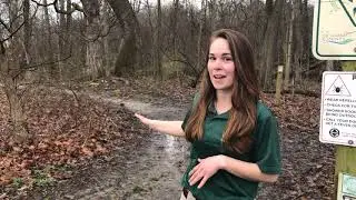 Broemmelsiek Park Tour
