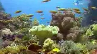 Candidasa Dive Site in Bali, Indonesia