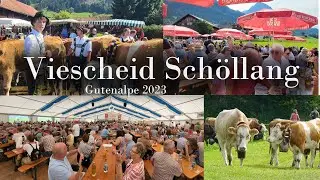 🇩🇪 Viehscheid Sh&ouml;llang | Traditional homecoming festival of the Herds from the mountain alps