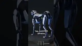 The Future of Innovation #CompanionRobot,#ServiceRobot,#RescueRobot,#GuardRobot