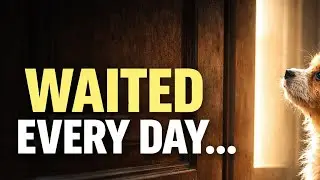 He Waited Every Day… 🐶 | A Wordless Cinematic Puppy Story