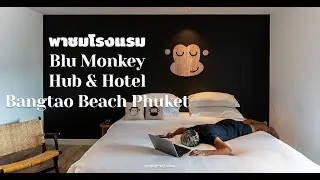 Blu Monkey Hub & Hotel Bangtao Beach Phuket