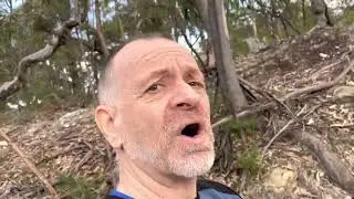 Wheeny Creek and Gee Arm sth fire trail