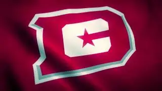 DC Defenders Flag Logo Green Screen Loop Chroma Animation