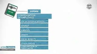 GFS E-Learning: Government Expense Statistics
