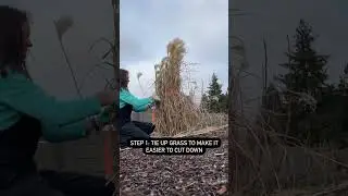 How To Prune Tall Grass: This Trick Makes It So Easy!