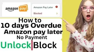 Amazon pay Later To Unblock Overdue Amazon Pay Later |Tamil Amazon Pay Later Blocked How To Unblock