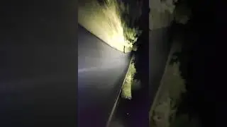 Pulsar N160 Raw Exhaust Sound ❤️| Pulsar N160 Ride in Night 🔥 #Bajaj #pulsarn160