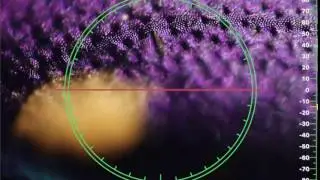 Video of Light Reflecting from a Macroscopic Solutions Micro Diffuser