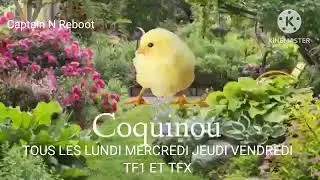 Captain N Reboot TFOU Tous Les Lundi Mercredi Jeudi Vendredi &Agrave; 7h00 Bande Annonce Du Promo 