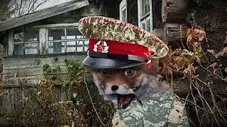 Ты пал не зря, герой - Упоротый лис (ШПБ edit)