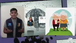 Plasticidad cerebral