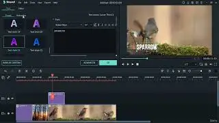 Video Editing Tutorials (ELEMENTS PANEL) 5  Titles  Lower Third- Wondershare Filmora