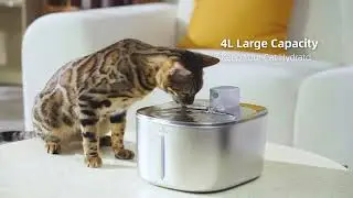 Protect your fur baby with APETDOLA filtersAPETDOLA 8-Pack Cat Water Fountain Filters