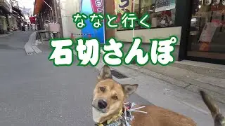 石切さんぽ