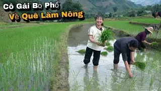 Em Gái H'mông Bỏ Phố Về Quê Làm Nông, Mùa Vụ Mới Ở Biên Giới Việt Trung..!
