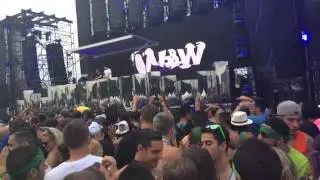 W&W electric zoo 2014 day 2