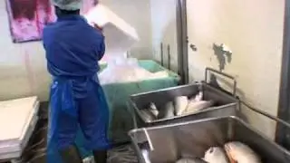 Mil-tek Styroporpresse in der Fischverarbeitung
