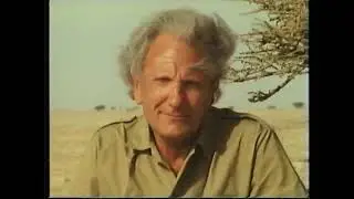 Original VHS Opening & Closing: In Search of Wildlife with David Shepherd - Vol. 2 (UK Retail Tape)