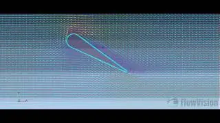 FlowVision test