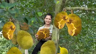 Harvesting Ripe, Fragrant Jackfruit to Sell at the Local Market | CBN Harvest