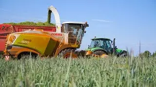 Ensilage de seigle en coupe direct pour méthanisation ETA ROZE !