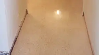 Need You the Best Terrazzo Tile Removal and Repair Service in Miami